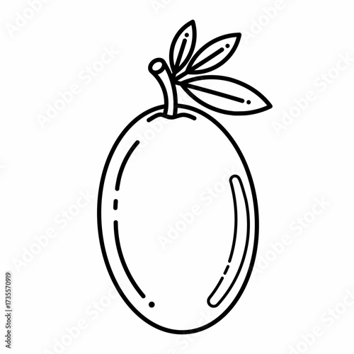 Ambarella fruit icon. Ambarella fruit icon in line style