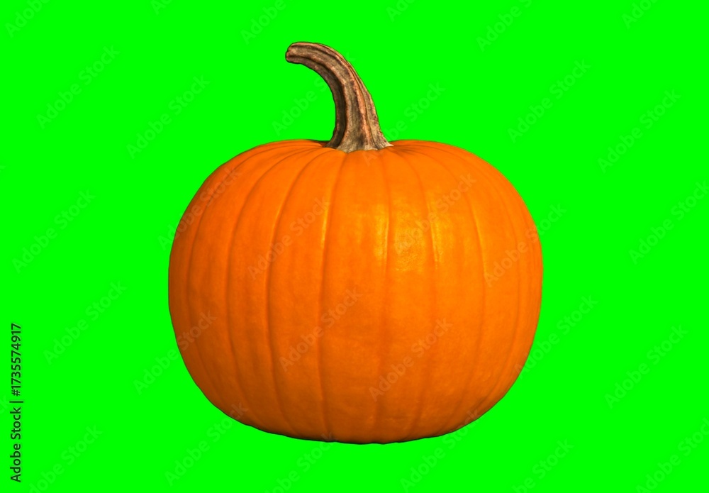 Obraz premium Bright Orange Pumpkin with Deep Ridges on Green Screen – Autumn Harvest and Halloween Decor