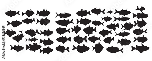 fishes silhouette white background vector illustration