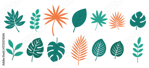 flat collection of various tropical and botanical leaves vector illustration