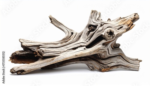 Aged driftwood with twisted, organic branches and weathered textures, isolated on a neutral background for artistic or decorative use.