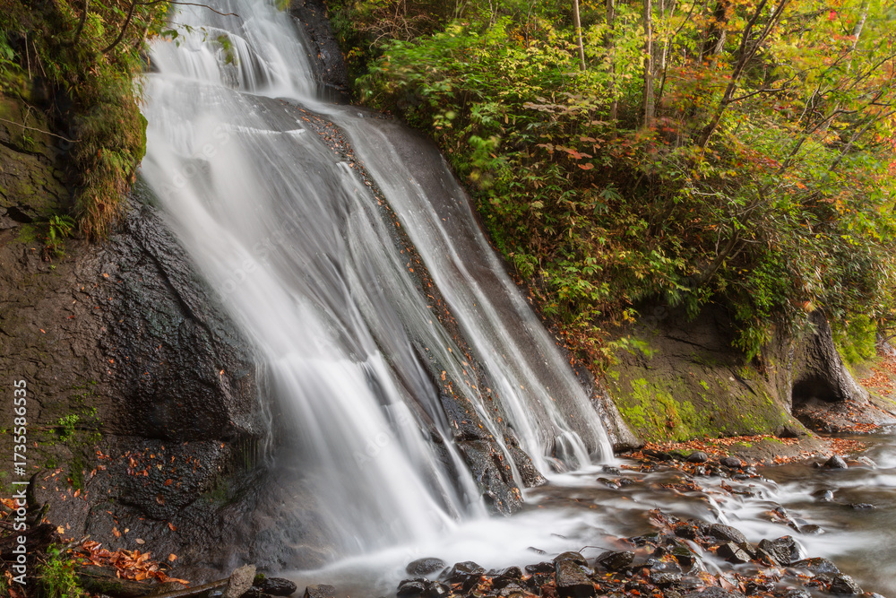 Naklejka premium 秋の渓谷, mountain stream