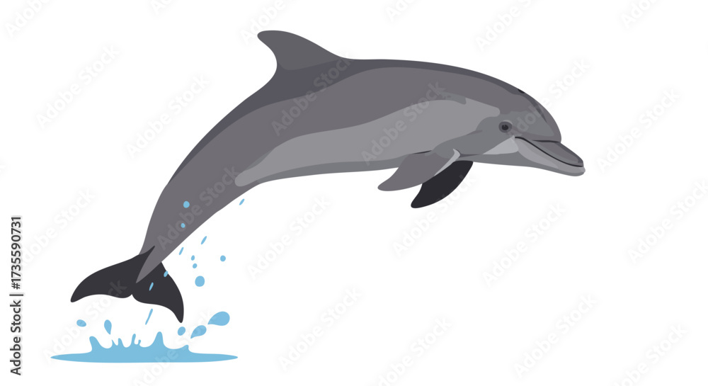 Fototapeta premium A graceful dolphin leaps from the water.