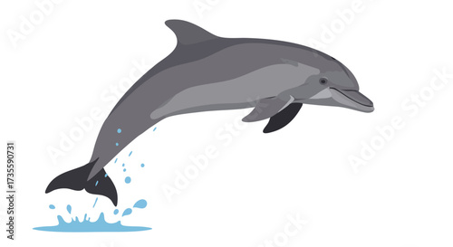 A graceful dolphin leaps from the water.