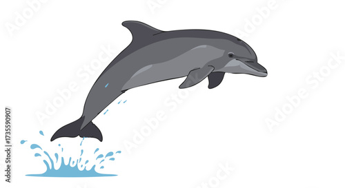 Dolphin leaping out of water.