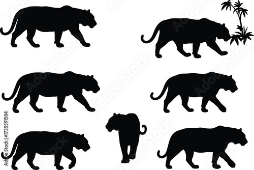 Tiger silhouette vector, panther walking pose, jungle animal motion, black feline shape, wildlife illustration, rear view tiger, isolated design
