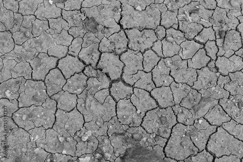 Wallpaper Mural Black cracked ground. Black dry earth background Torontodigital.ca