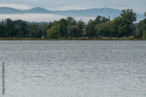 Fototapeta Naklejka Na Ścianę i Meble -  Krajobraz za stawem rybackim i Beskidami w tle. 