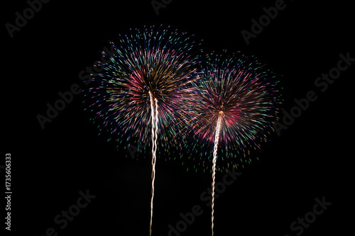 Fireworks in the night sky