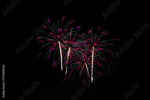 Fireworks in the night sky