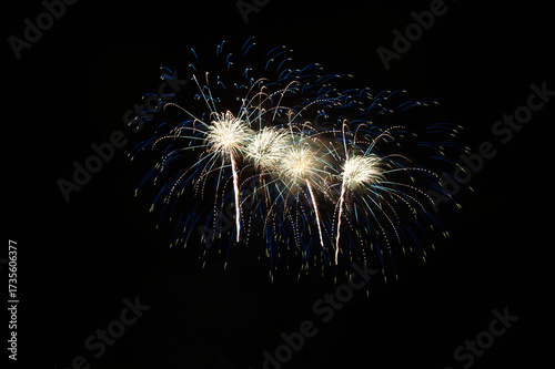 Fireworks in the night sky