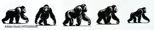 vector black and white silhouette of an orangutan