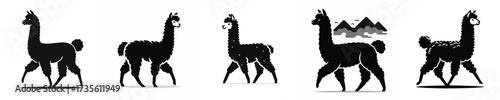 vector black and white silhouette of a llama