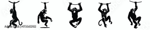 black and white silhouette vector of a chimpanzee