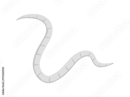 Pinworm Clip Art
