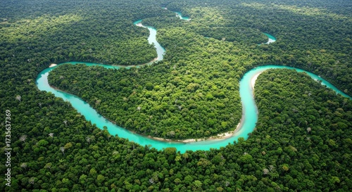 Aerial view of the amazon rainforest and river in south america