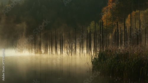 Autumn landscape during foggy morning on the lake. Spectacular sunrise with mist on the surface of the lake.