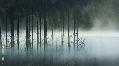 Foggy morning with mist on the surface of the lake during sunrise
