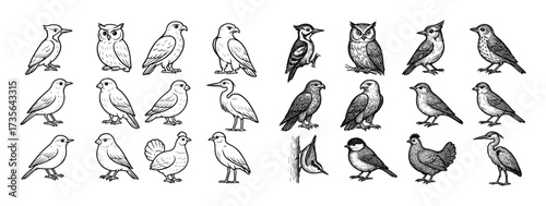 Forest Bird Sketch Icons
