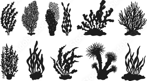 Underwater coral silhouettes, marine plants vector, ocean flora design, seaweed clipart, aquatic ecosystem elements, scuba diving illustration, reef graphics