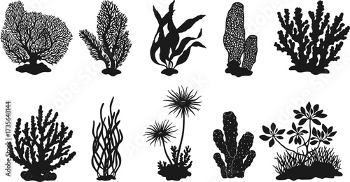 Underwater plant silhouettes, coral shapes, marine flora, seaweed forms, ocean vegetation, aquatic ecosystem, black vector icons, reef life, biology illustration, nature design