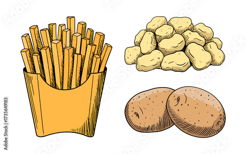 Hand Drawn Illustration of Potatoes French Fries and Potato Nuggets for Fast Food Concepts and Culinary Designs
