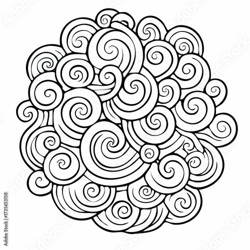 Intricate swirl pattern forming a circular design, black and white.