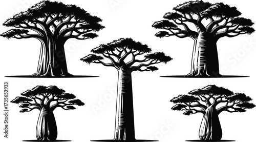 Baobab tree illustration set, iconic African flora, thick trunk silhouette, cultural symbol, nature art, black and white botanical design