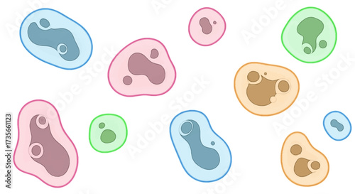 Colorful, stylized illustration of various cell-like shapes, scattered across a white background.