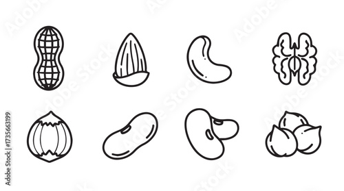 Assortment of hand drawn nuts and seeds for healthy eating and food concepts vector