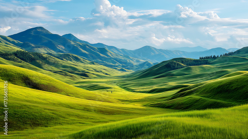 Green hills and grass field with sunlight.