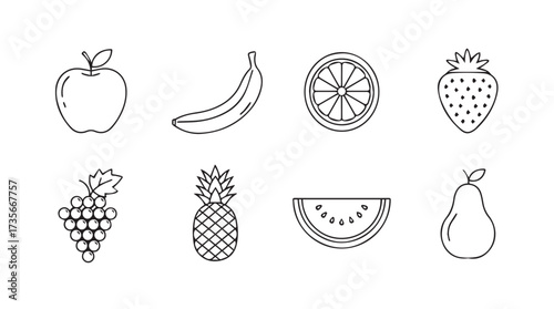 Artistic sketch collection of fresh fruits apple banana orange strawberry pineapple watermelon pear grapes vector