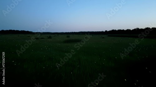 Enchanting Fireflies Illuminate Grassy Meadow Under Twilight Sky