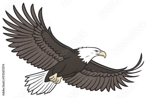 american bald eagle