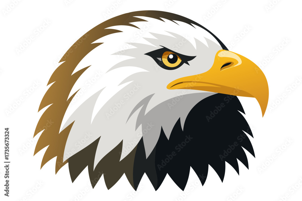 Fototapeta premium american bald eagle