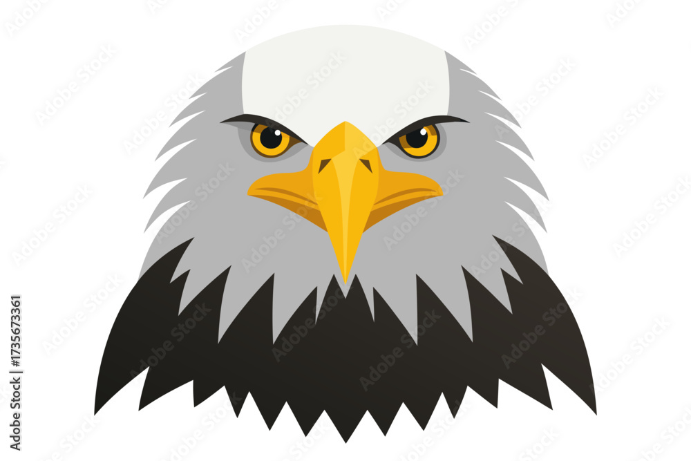 Obraz premium eagle head isolated on white