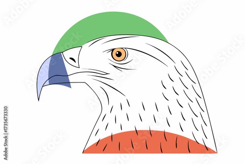 american eagle head