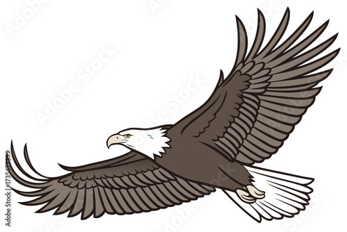 eagle in flight