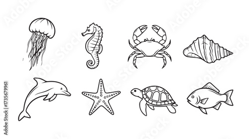 Hand drawn ocean sea life collection jellyfish seahorse crab seashell dolphin starfish turtle fish vector