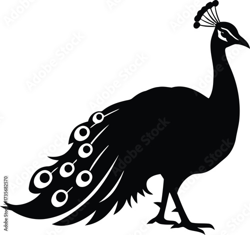 Elegant black silhouette of a majestic peacock with feathered tail displayed silhouette