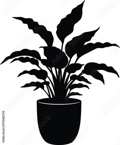 Silhouette of a lush potted houseplant with wavy leaves in a simple pot silhouette