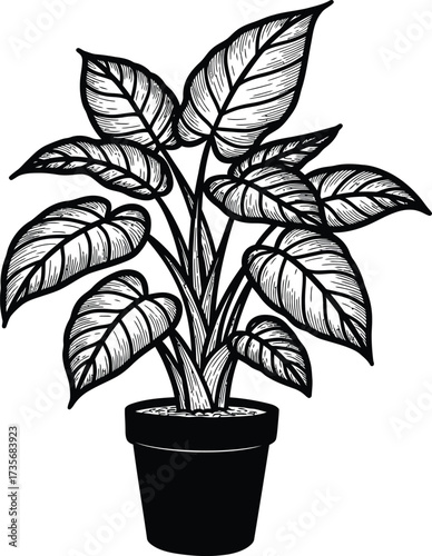 Hand drawn sketch of a lush potted plant with large textured leaves silhouette