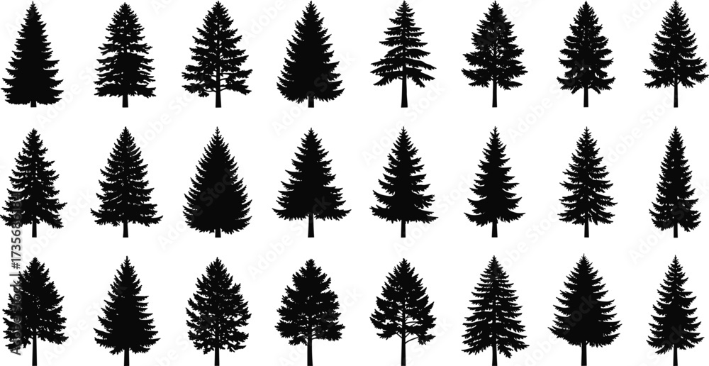 Obraz premium Coniferous tree silhouette grid, pine and fir tree shapes, forest elements, black outline, nature design, vector illustration, evergreen trees