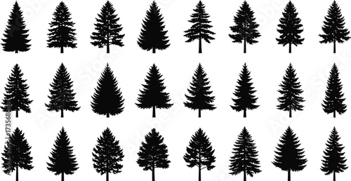 Coniferous tree silhouette grid, pine and fir tree shapes, forest elements, black outline, nature design, vector illustration, evergreen trees