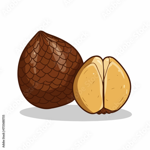 Handdrawn Detailed Tropical Salak Fruit Illustration Delicious Exotic Food
