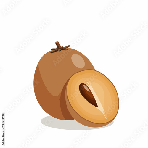 Detailed Realistic Sapodilla Fruit Illustration with Slice and Brown Skin