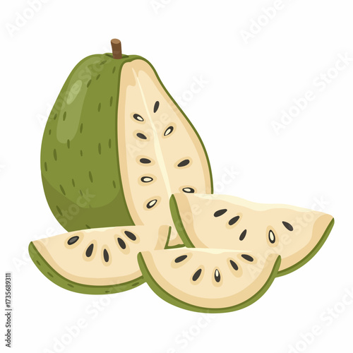 Flat Style Detailed Soursop Annona Muricata Fruit Tropical Plant Food