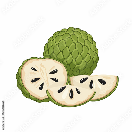 Colorful Detailed Annona Squamosa Still Life Tropical Fruit Illustration