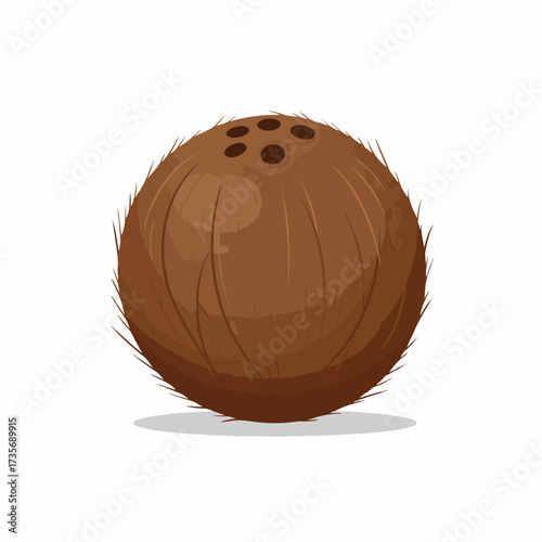 Flat Style Detailed Coconut Fruit Tropical Illustration Delicious Food