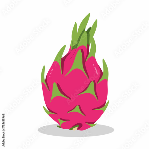 Flat Style Detailed Dragon Fruit Tropical Exotic Food Illustration
